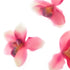 Pink Orchids Trio Floral Art Print